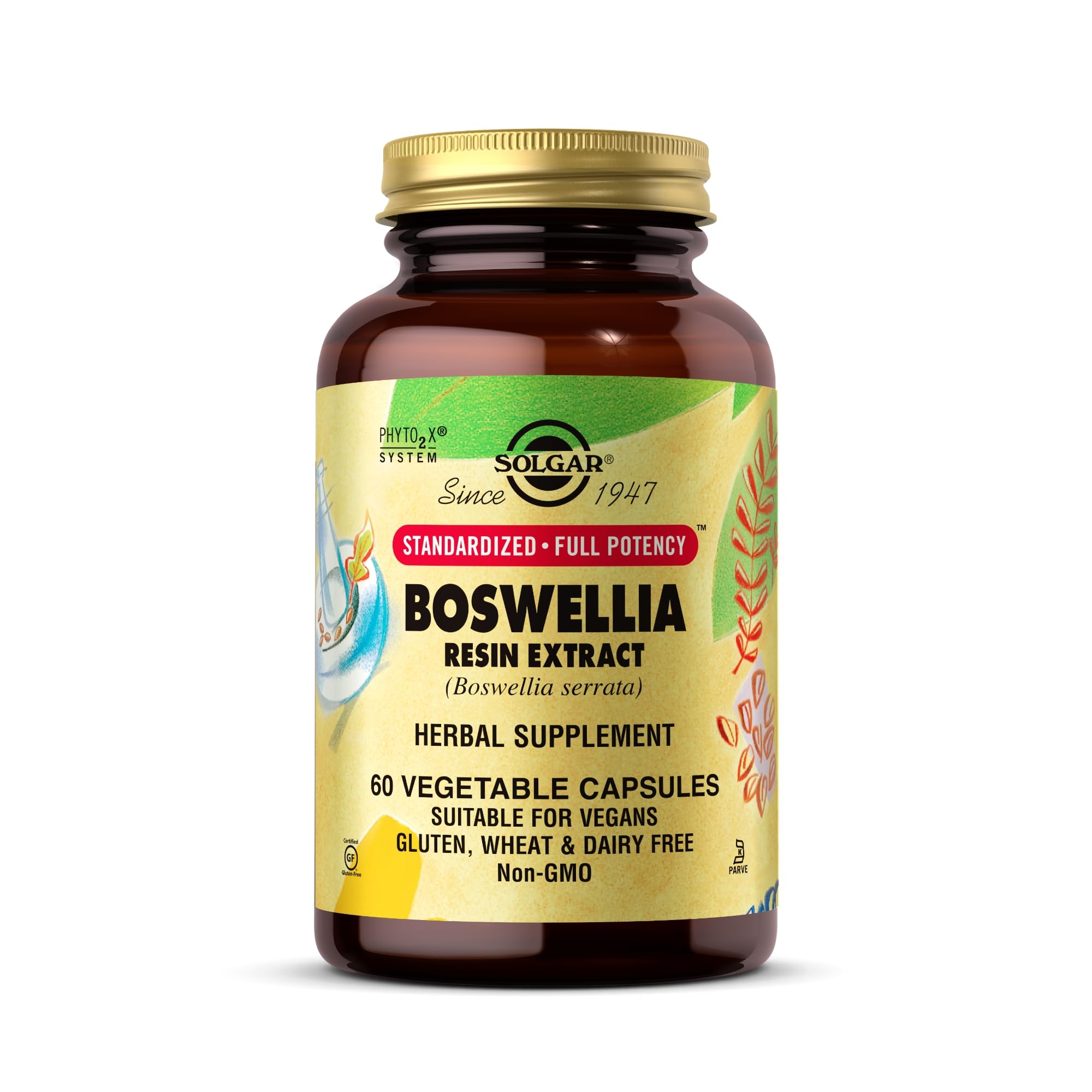 Solgar Boswellia Resin Extract | 60 Vegetable Capsules