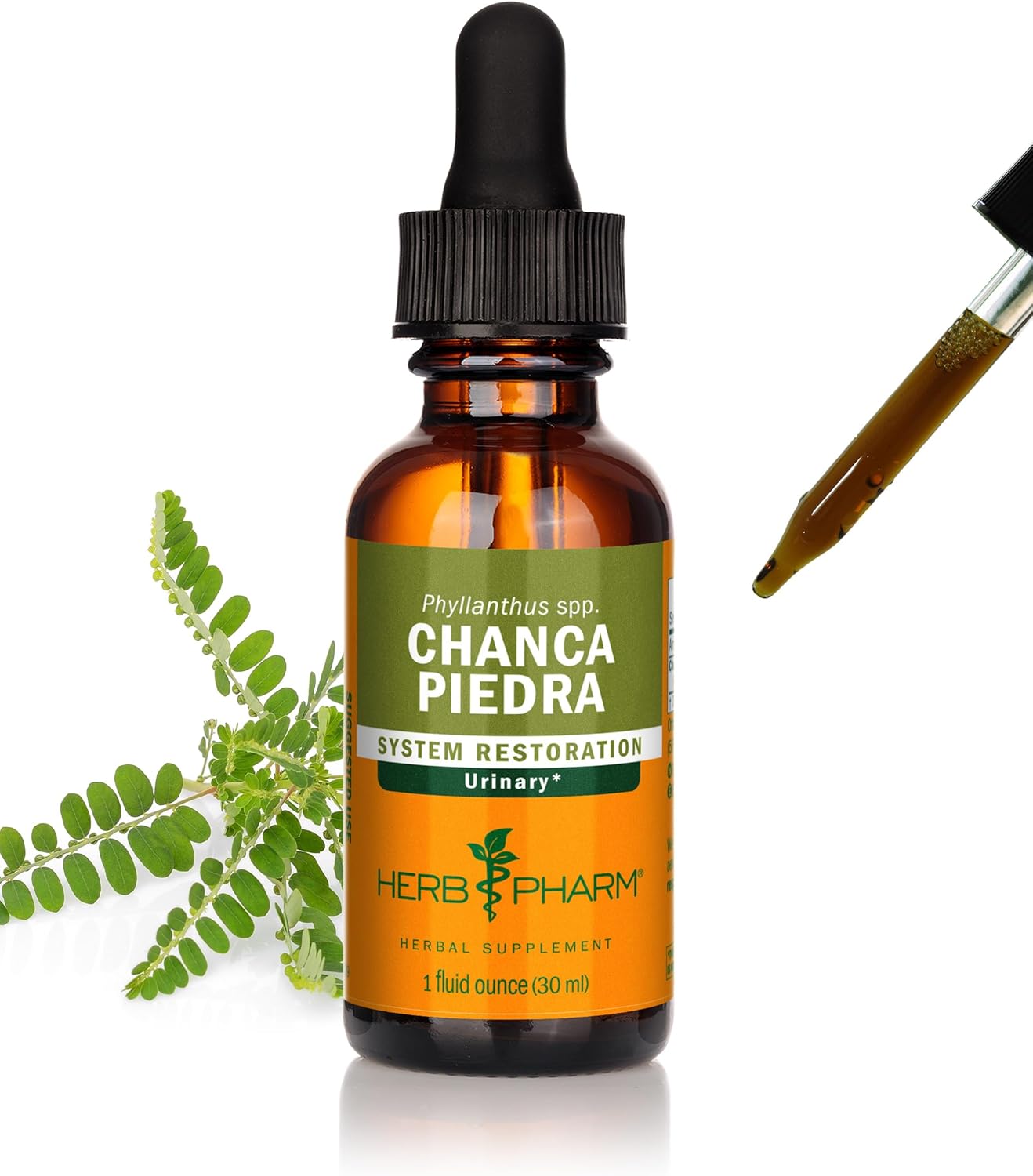 Herb Pharm Chanca Piedra Liquid Extract Drops for Urinary System Support | 1 Oz (30 ml)
