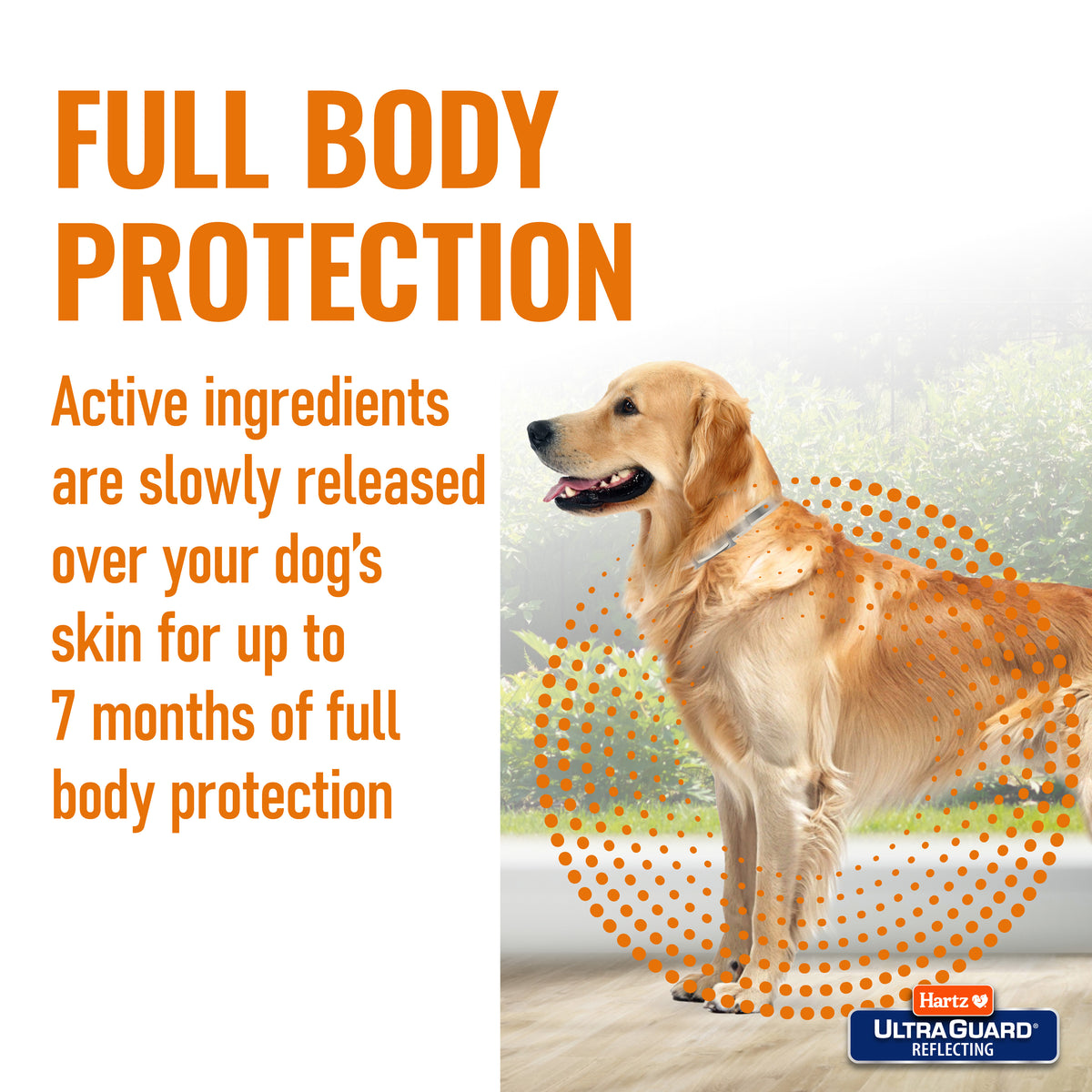 Hartz UltraGuard Flea & Tick Collar for Dogs, 7 Month Protection | Fresh Scent