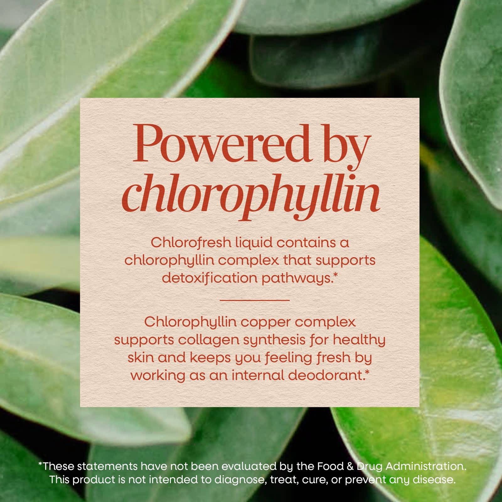 Nature's Way Chlorofresh Liquid Chlorophyll | Mint | 16 Oz (480 ml)