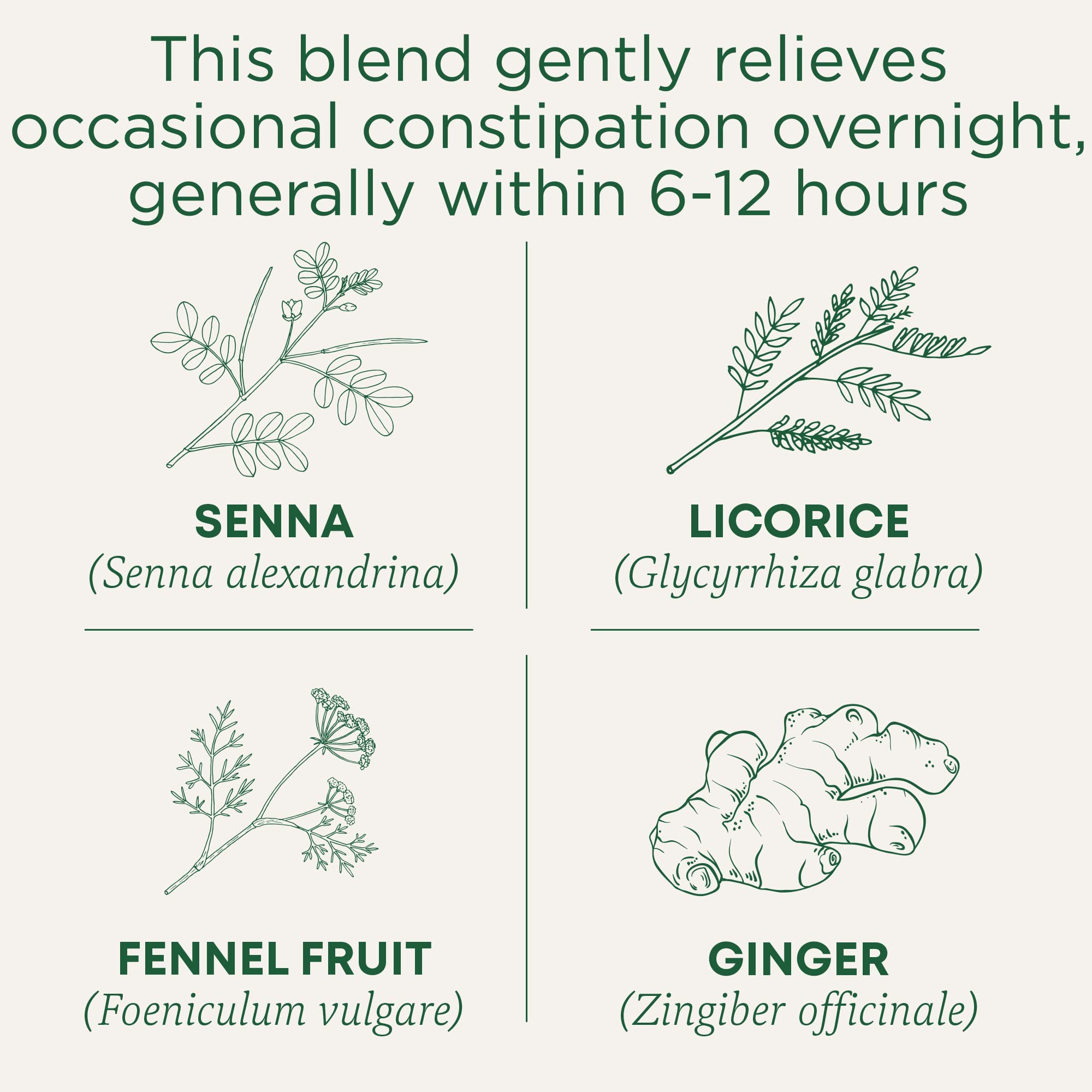 Traditional Medicinals Organic Senna Stimulant Laxative Tea | 16 Tea Bags