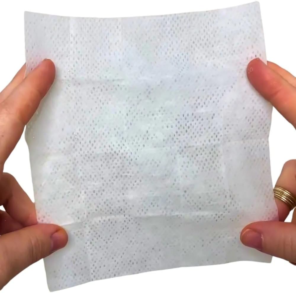 Shout Wipes | 12 Count