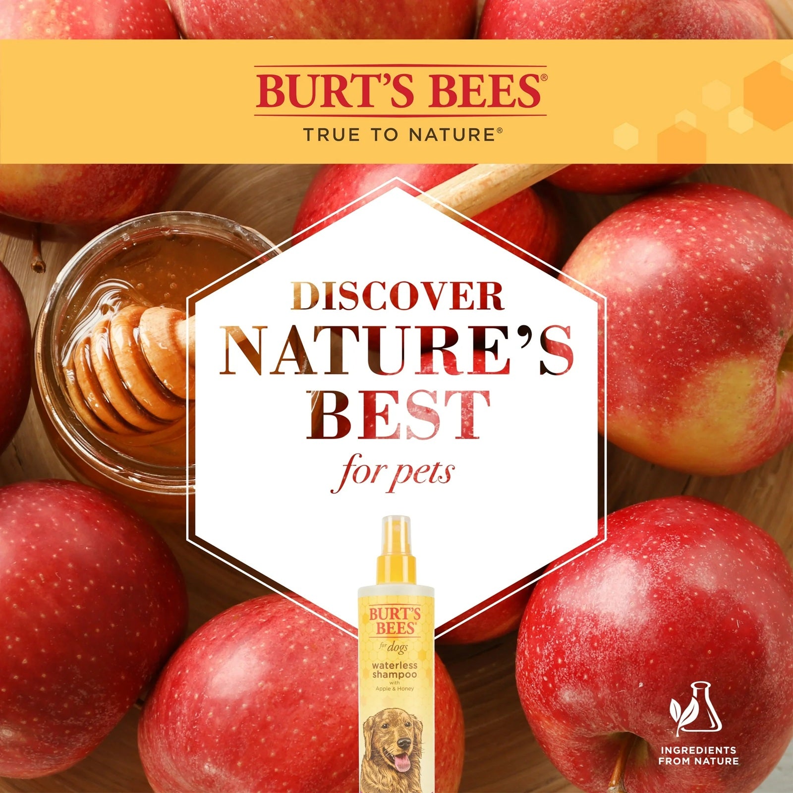 Burt's Bees dog shampoo is true to nature - best pet shampoo