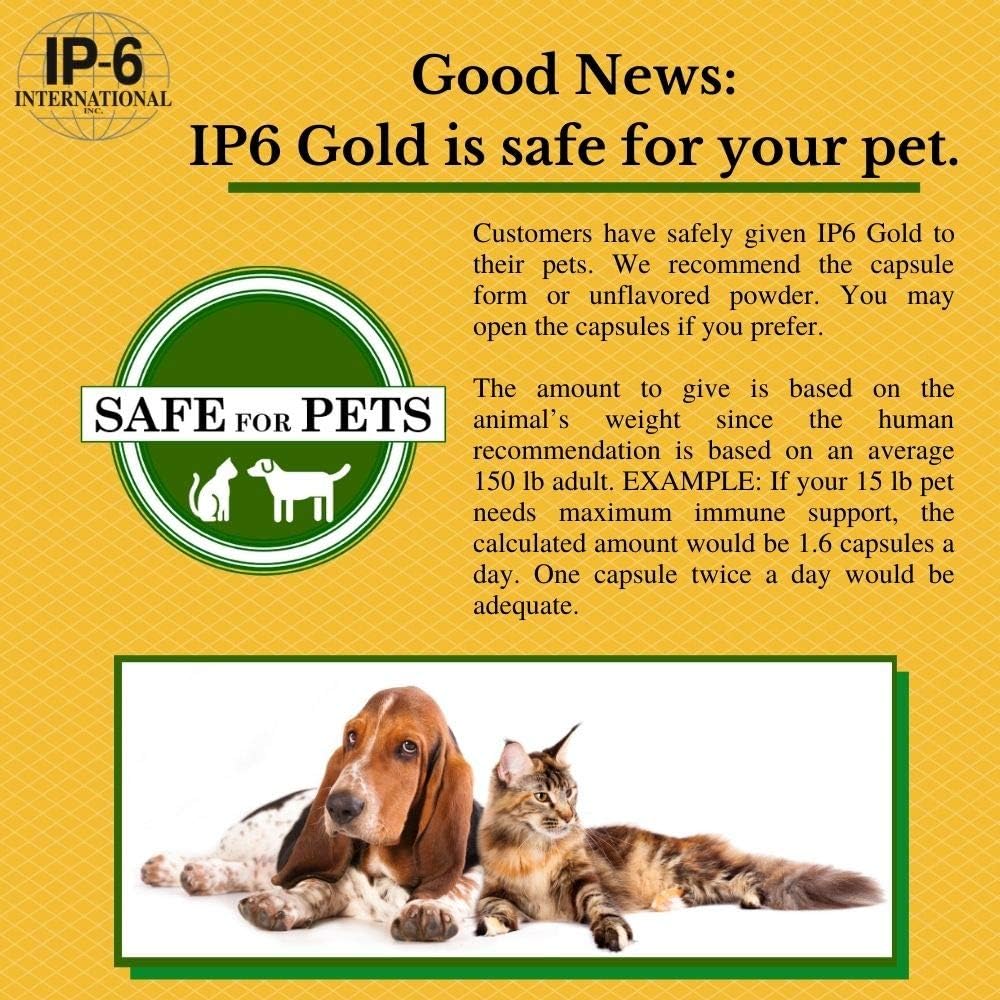 IP6 with inositol (IP6 Gold Powder) 308g unflavoured Powder