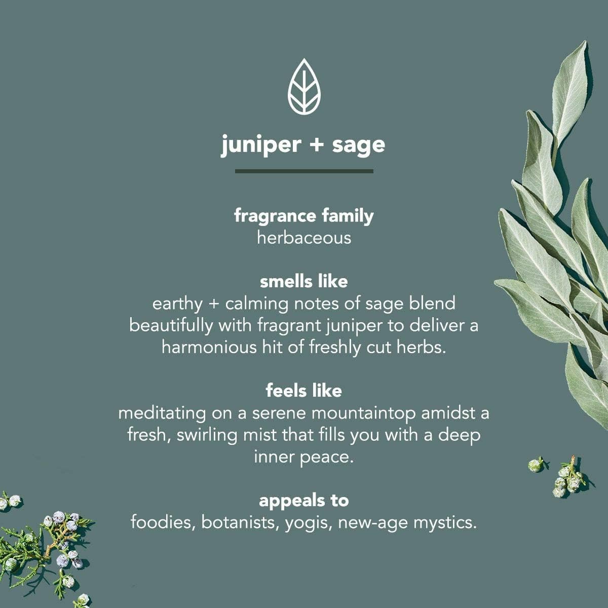 Description of juniper and sage method men body wash with fragrance description