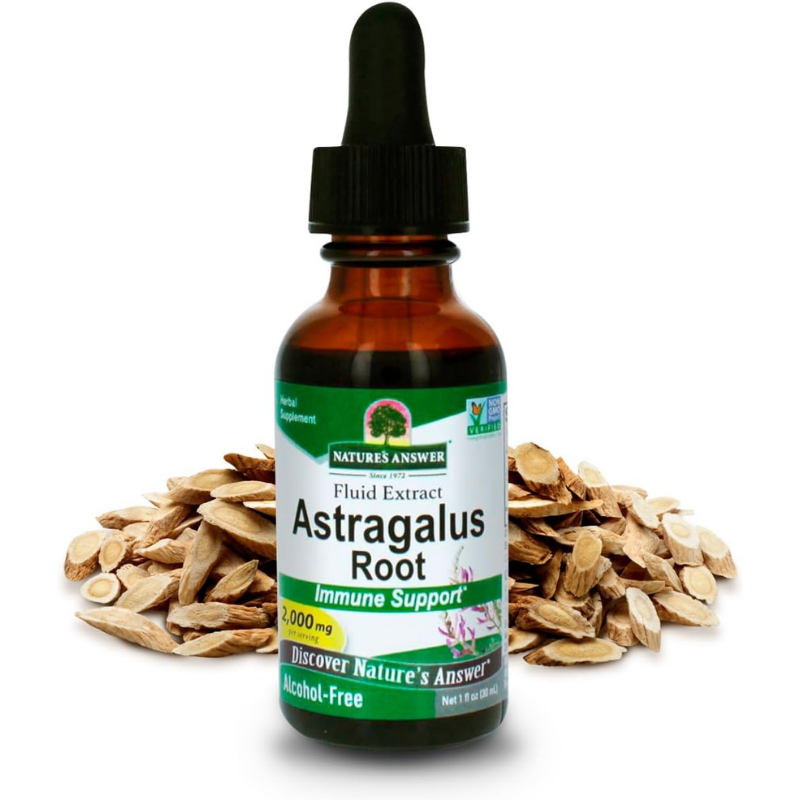 Bottle of fluid Astragalus Root extract for immune supports - alcohol free and kosher.