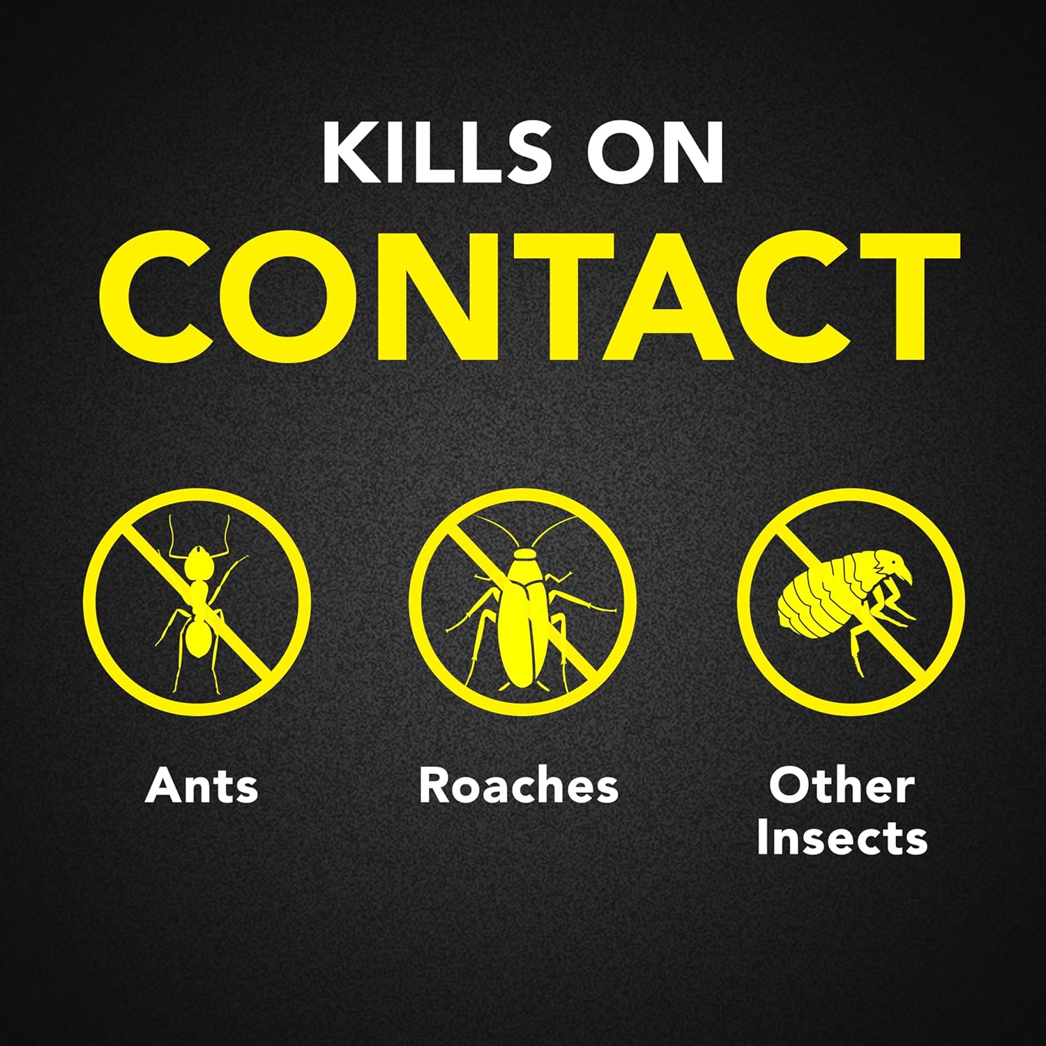 Raid pesticide kills ants, roaches and other insects on contact