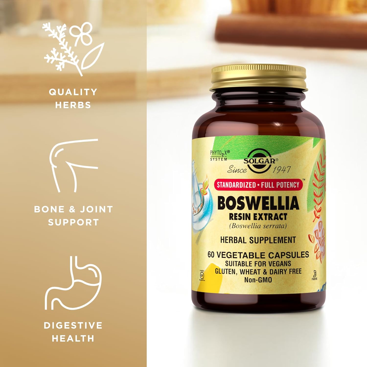 Solgar Boswellia Resin Extract | 60 Vegetable Capsules