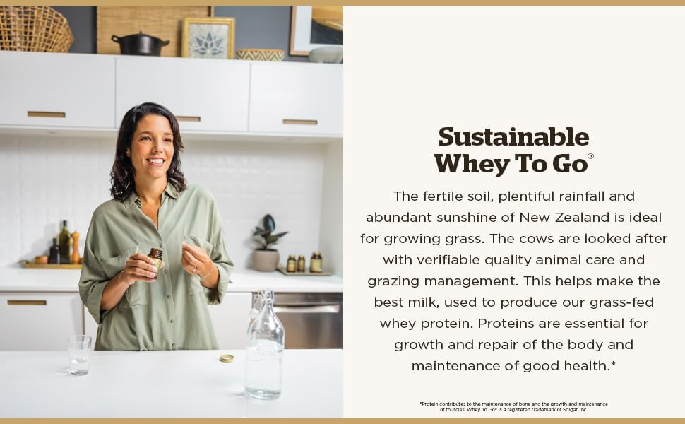 Solgar Whey To Go | 377 g