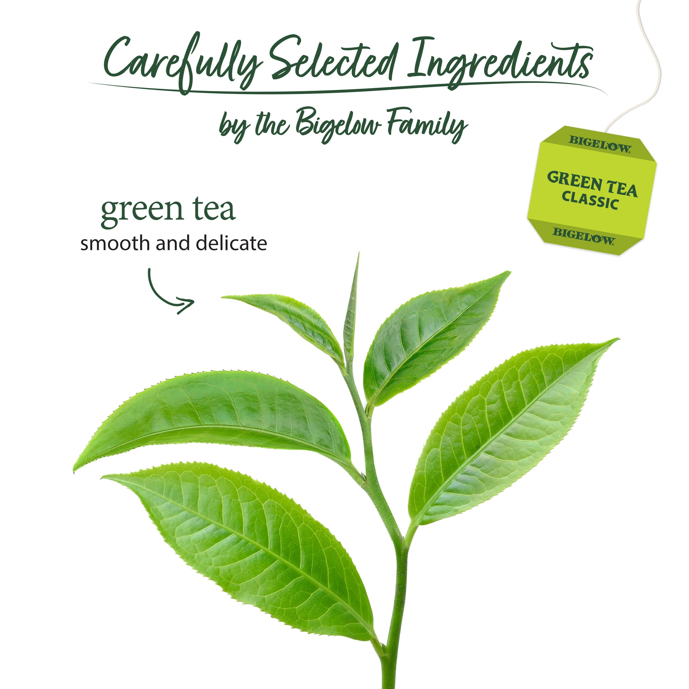 Bigelow Classic Green Tea | 20 Tea Bags