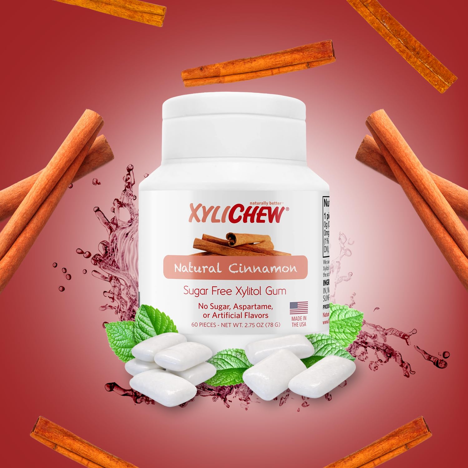 Xylichew 100% Xylitol Chewing Gum Jar - Cinnamon, 60 Count