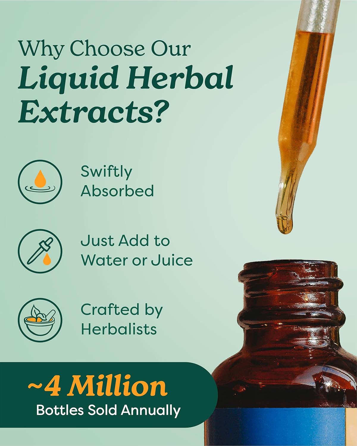 Herb Pharm Chanca Piedra Liquid Extract Drops for Urinary System Support | 1 Oz (30 ml)