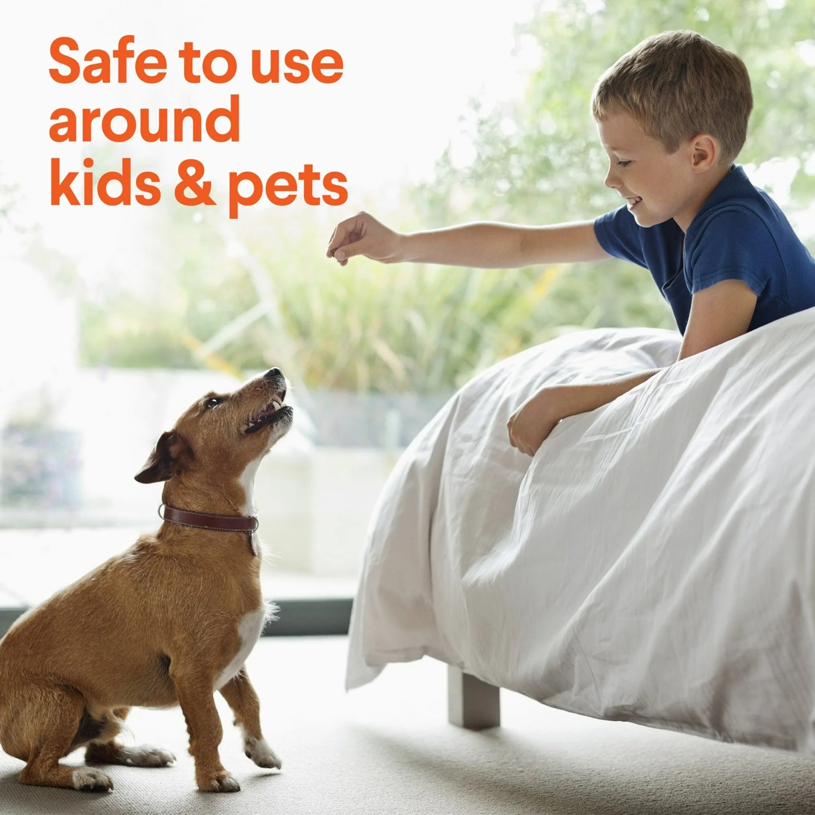 Clorox Urine Remover for Stains and Odors | 32 Oz