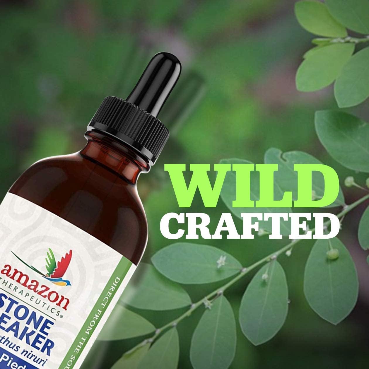 1oz Amazon Therapeutics Lavatories stone breaker supplement - wild crafted