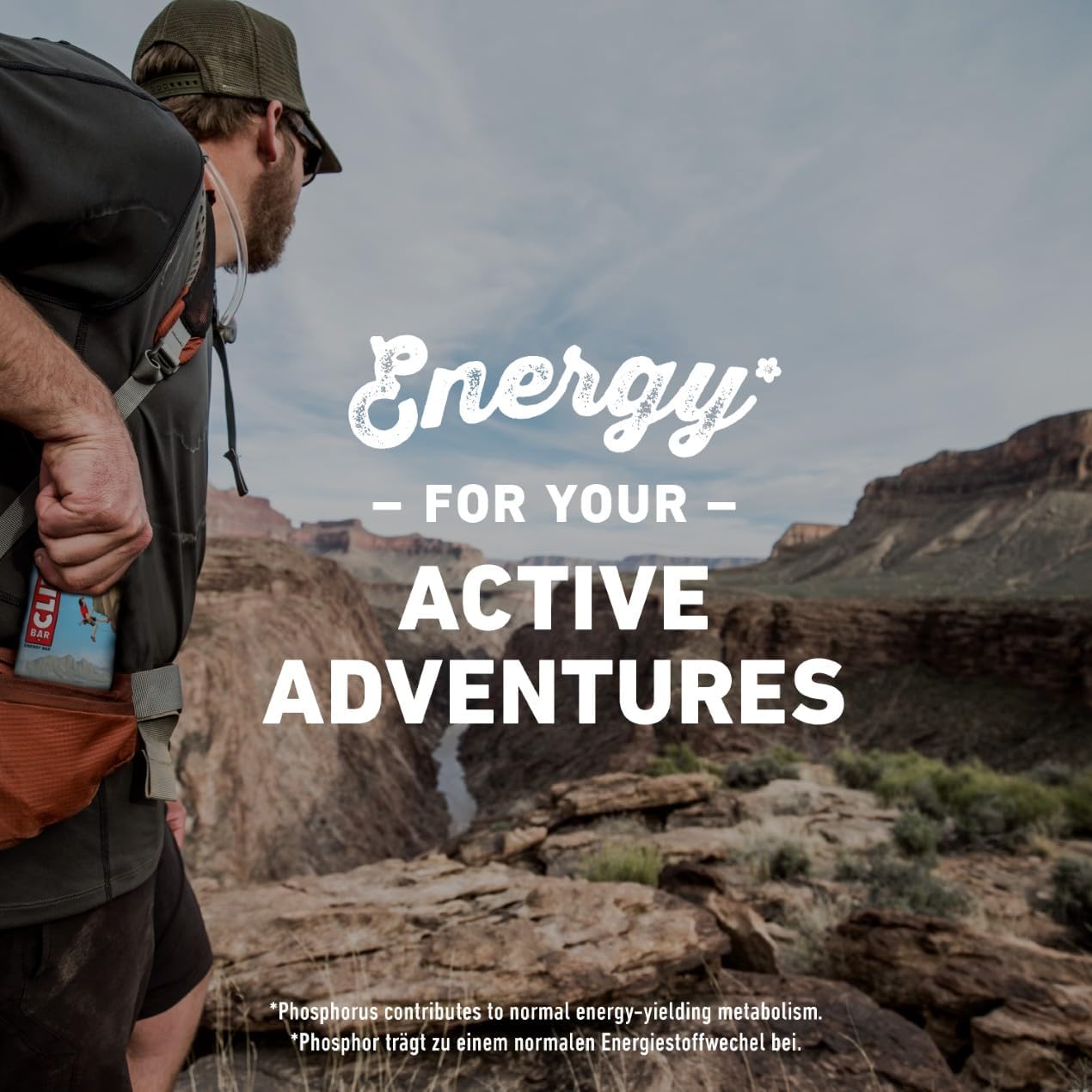 Choose chocolate chip protein bars to fuel energy for your active adventures
