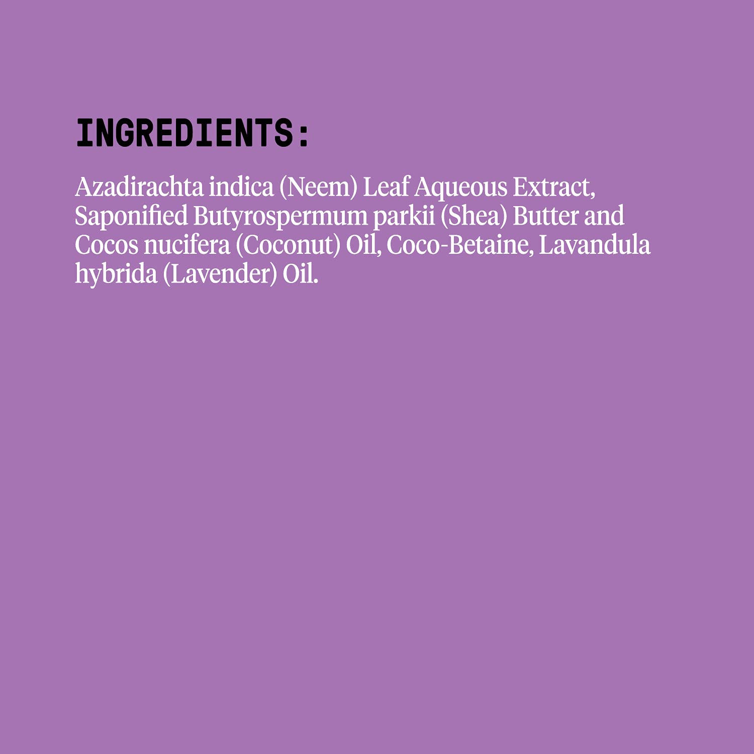 Alaffia Everyday Body Care Shea Body Wash Lavender | 32 Oz