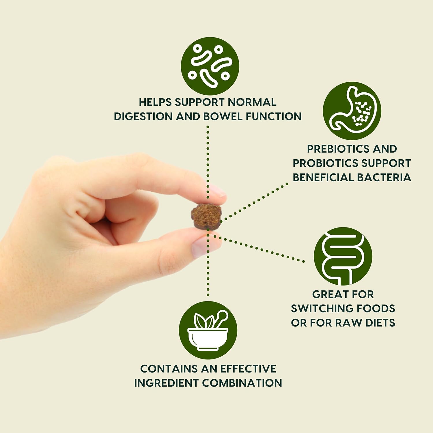 Ark Naturals Gentle Digest Soft Chews | 120 Count