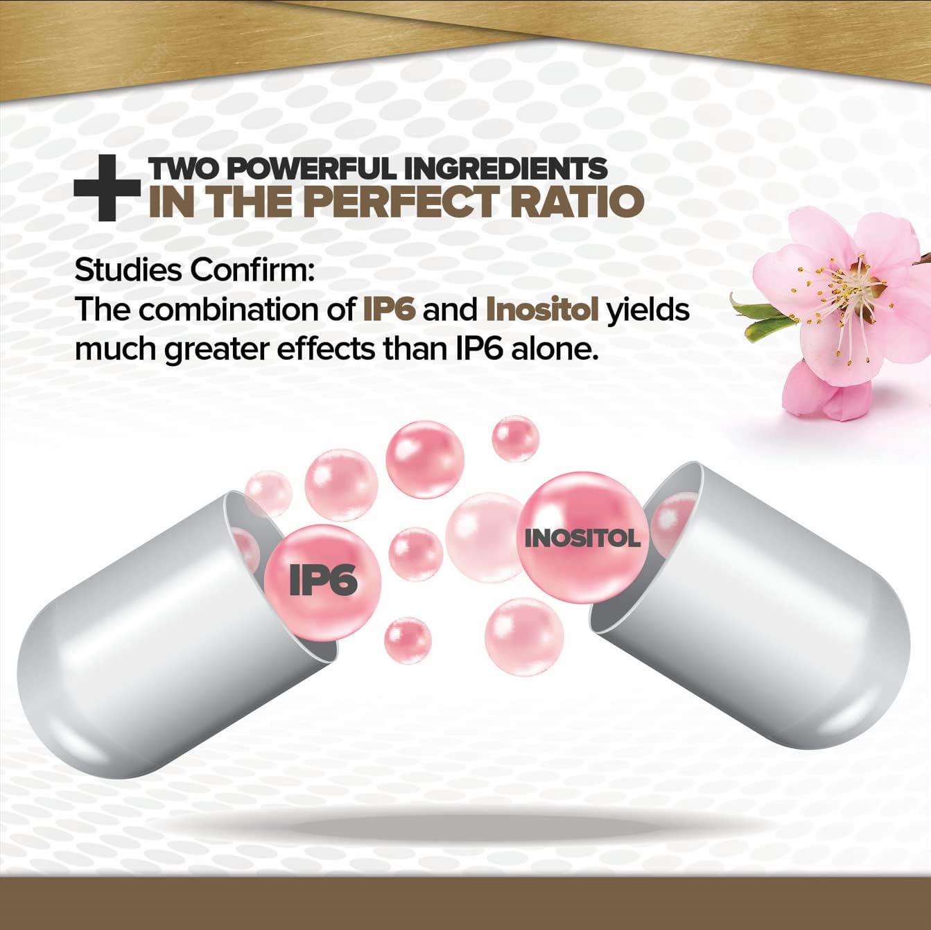 IP-6 Gold, Immune Support Formula | 120 Veggie Caps