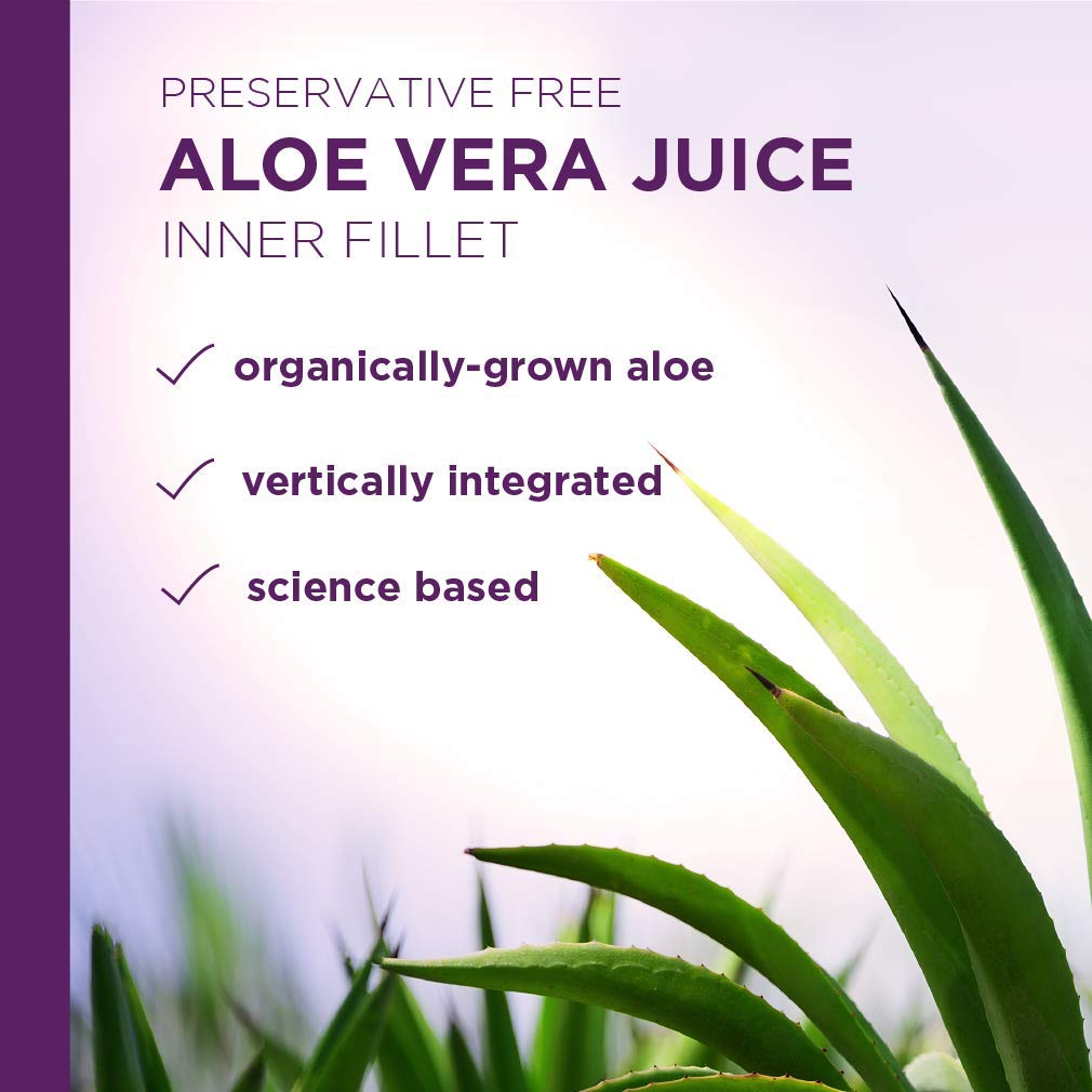 Preservative Free Aloe Vera Juice Inner Fillet 16 Ounces