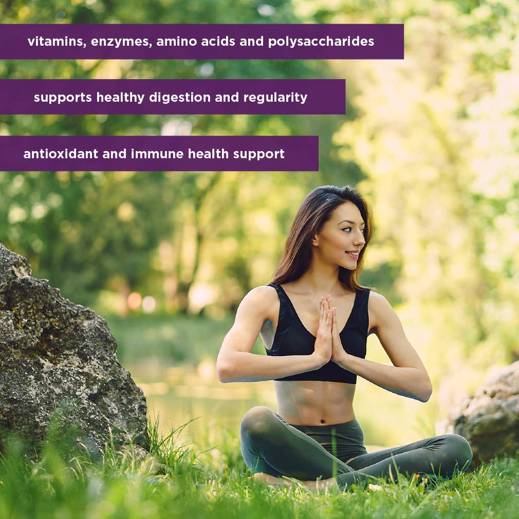 Preservative Free Aloe Vera Juice Inner Fillet 16 Ounces