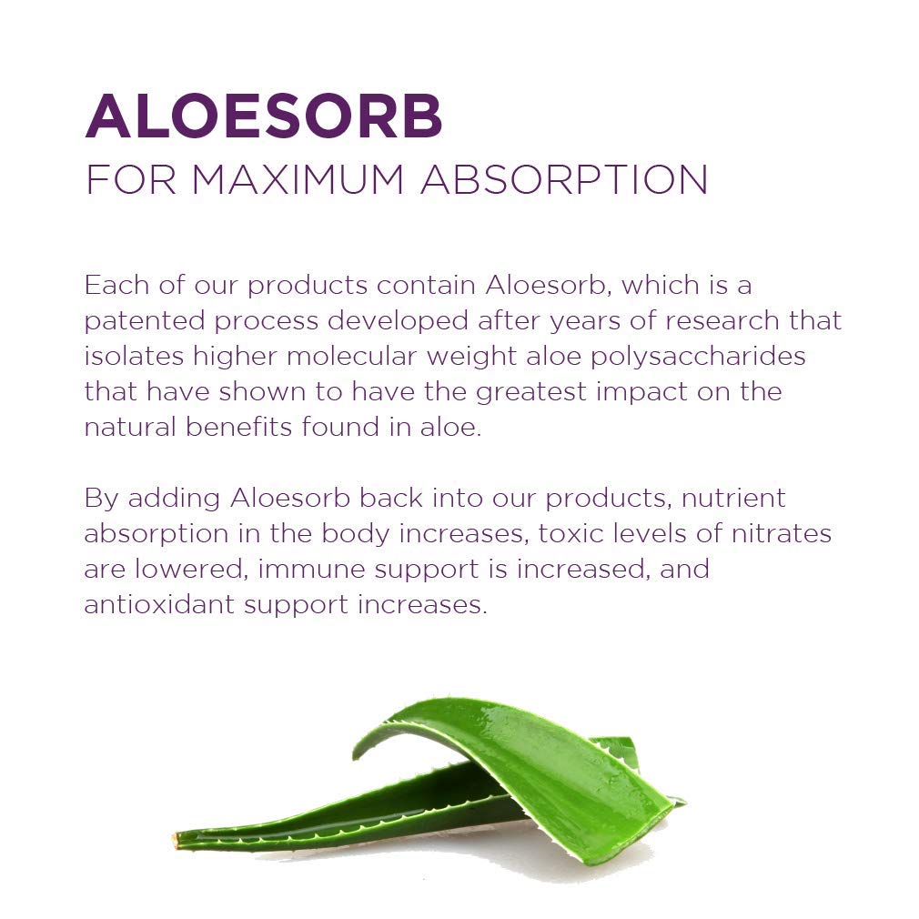 Preservative Free Aloe Vera Juice Inner Fillet 16 Ounces