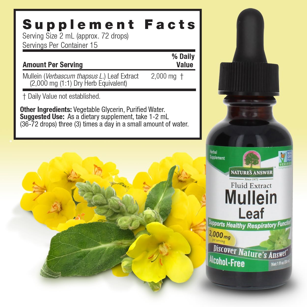 Natures Answer - Mullein Leaf - 30ml