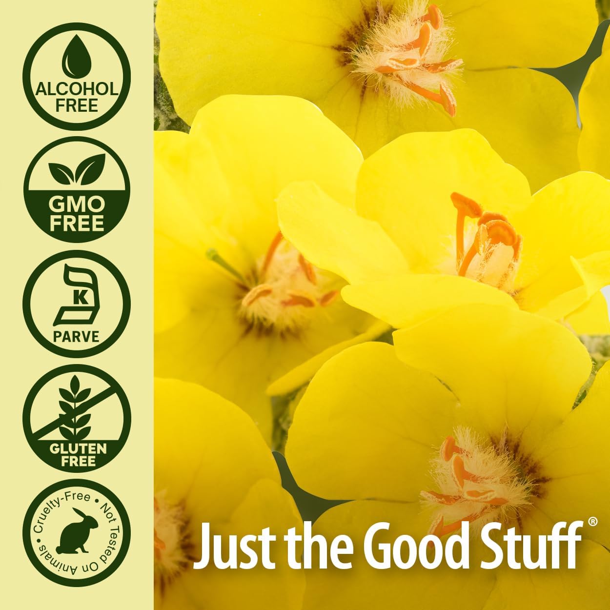 Natures Answer - Mullein Leaf - 30ml