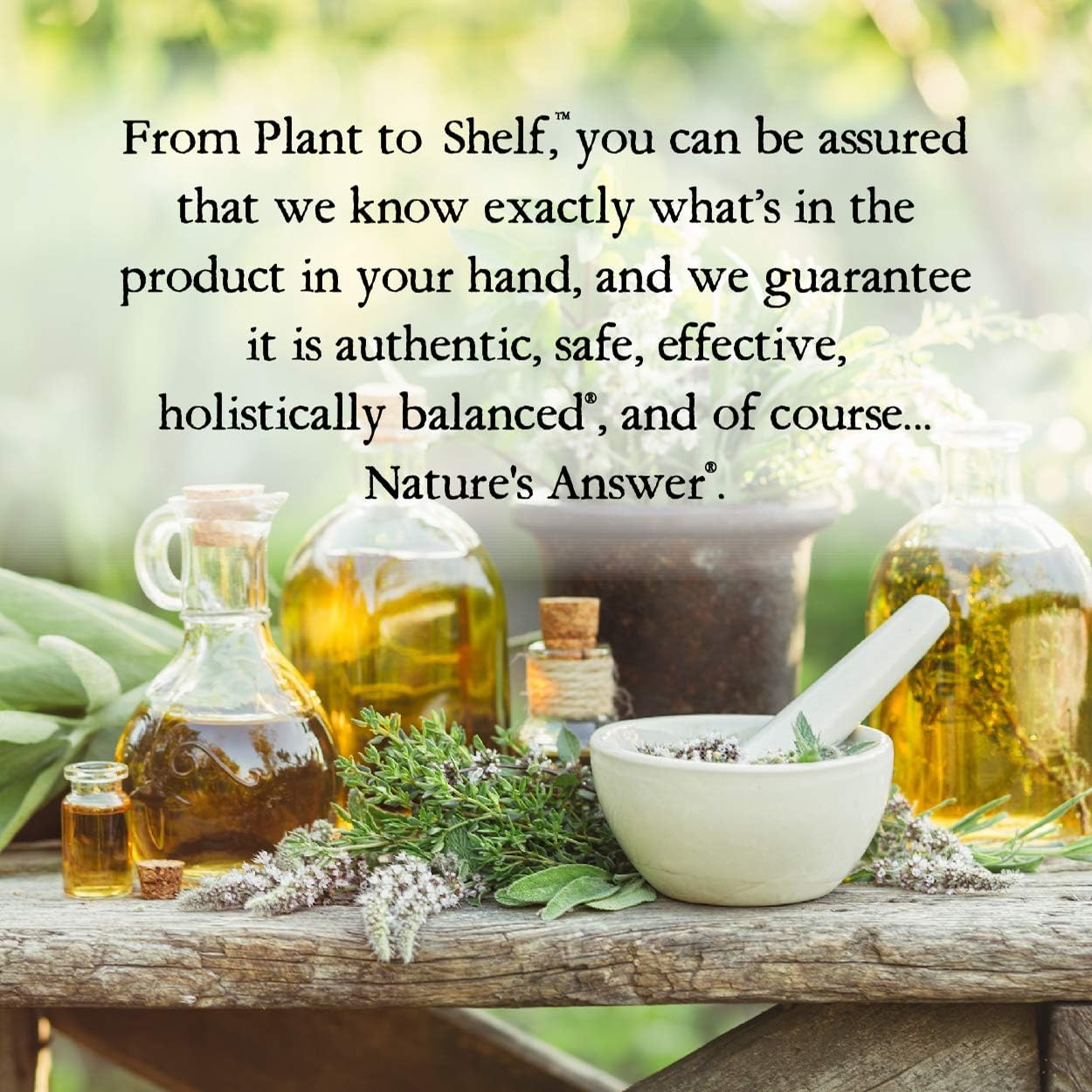 Natures Answer - Mullein Leaf - 30ml