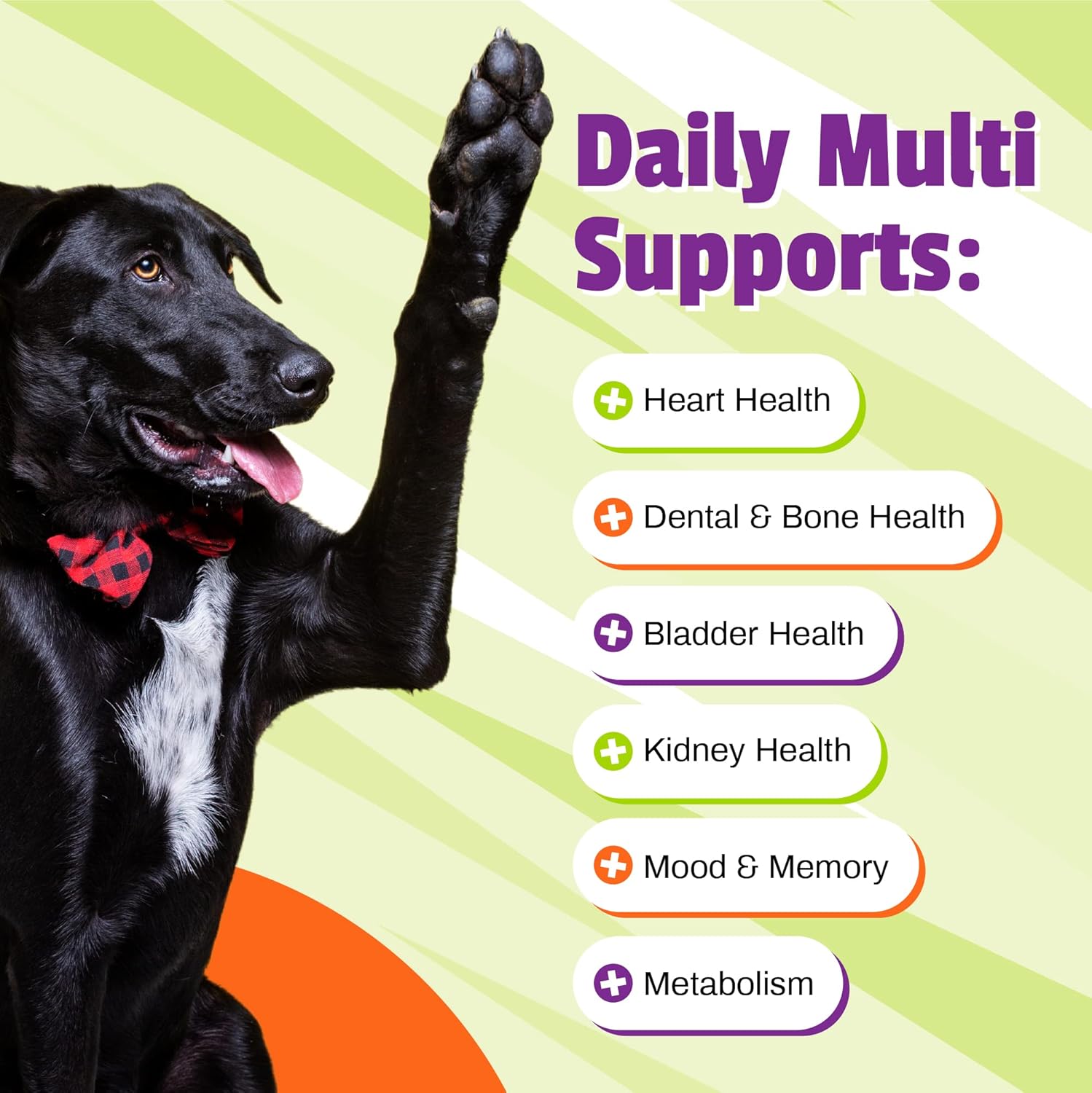 Pet Naturals Daily Multivitamin for Dogs | Veggie Flavor | 30 Chews