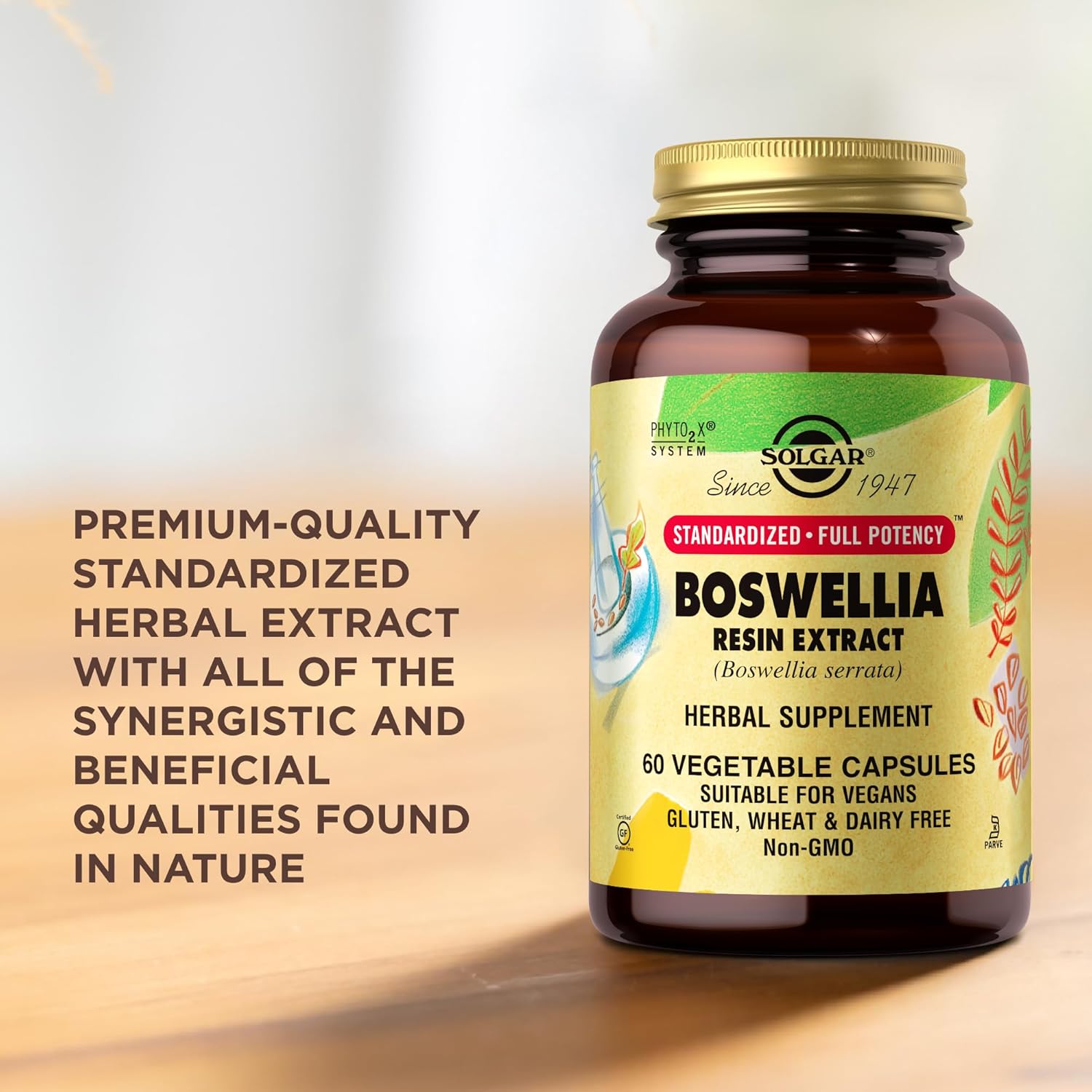 Solgar Boswellia Resin Extract | 60 Vegetable Capsules