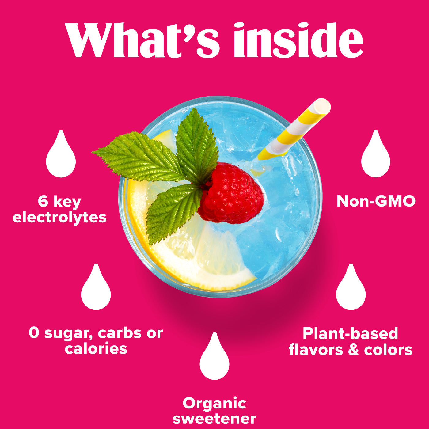 Ultima Replenisher Daily Electrolyte Powder | Raspberry | 20 Stickpacks