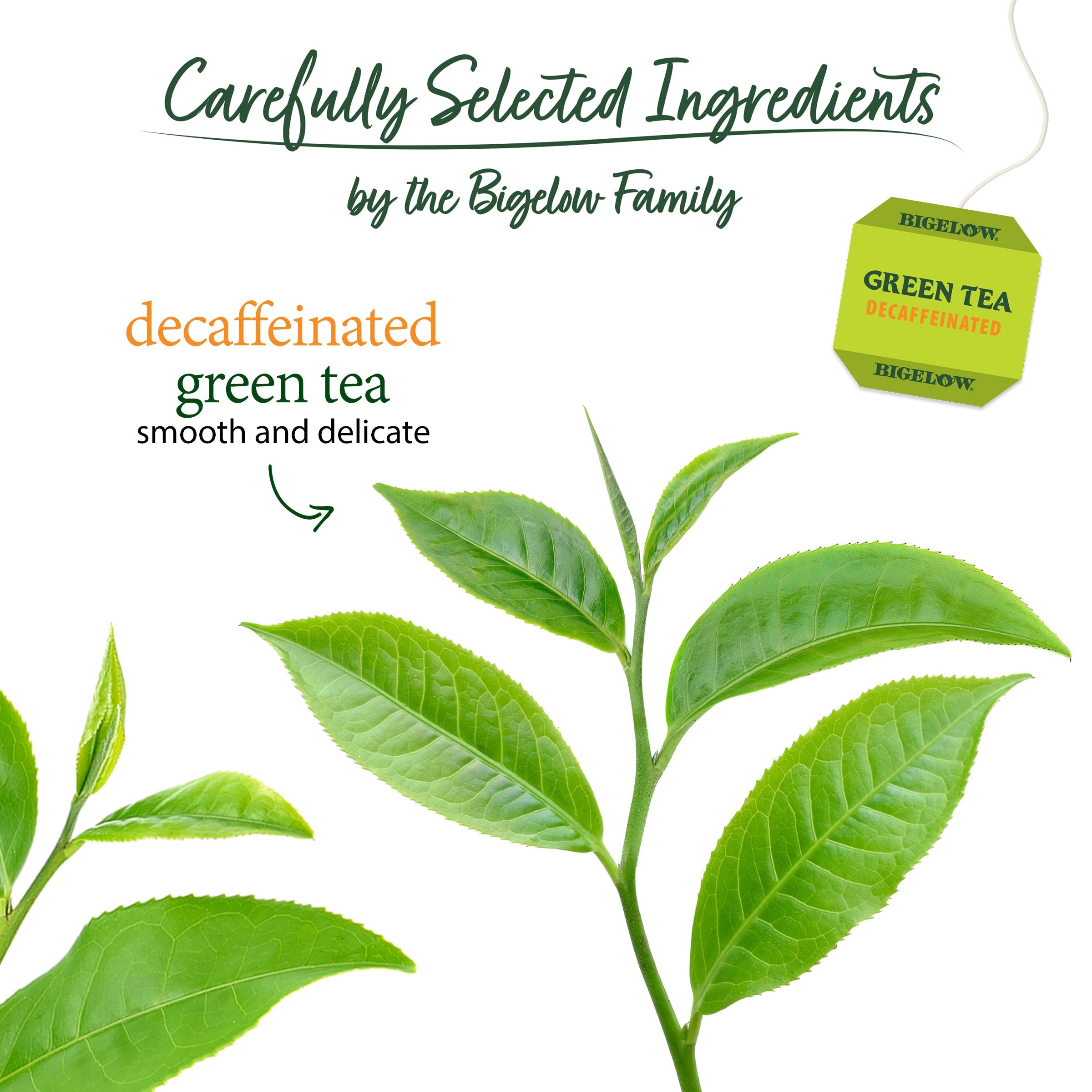 Bigelow Decaffeinated Classic Green Tea | 20 Tea Bags