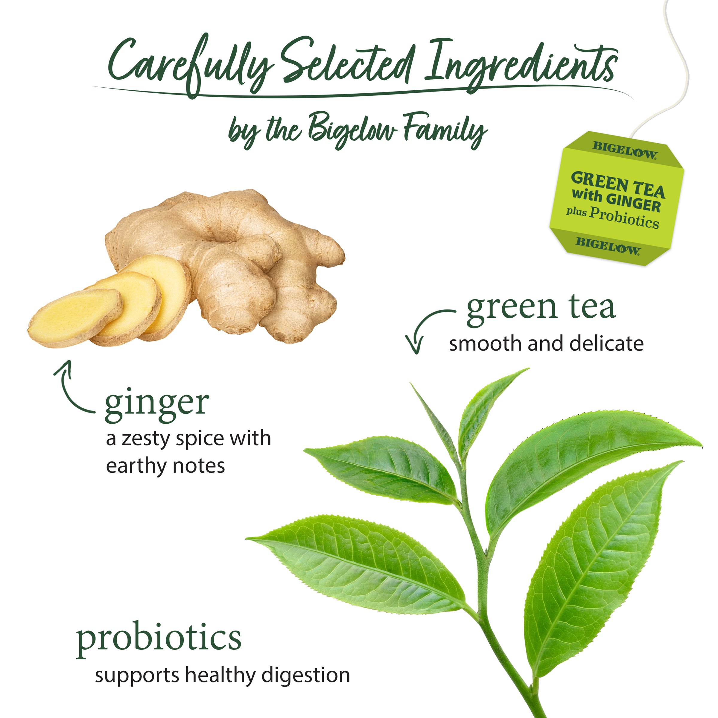 Bigelow Green Tea with Ginger Plus Probiotics | 18 Tea Bags